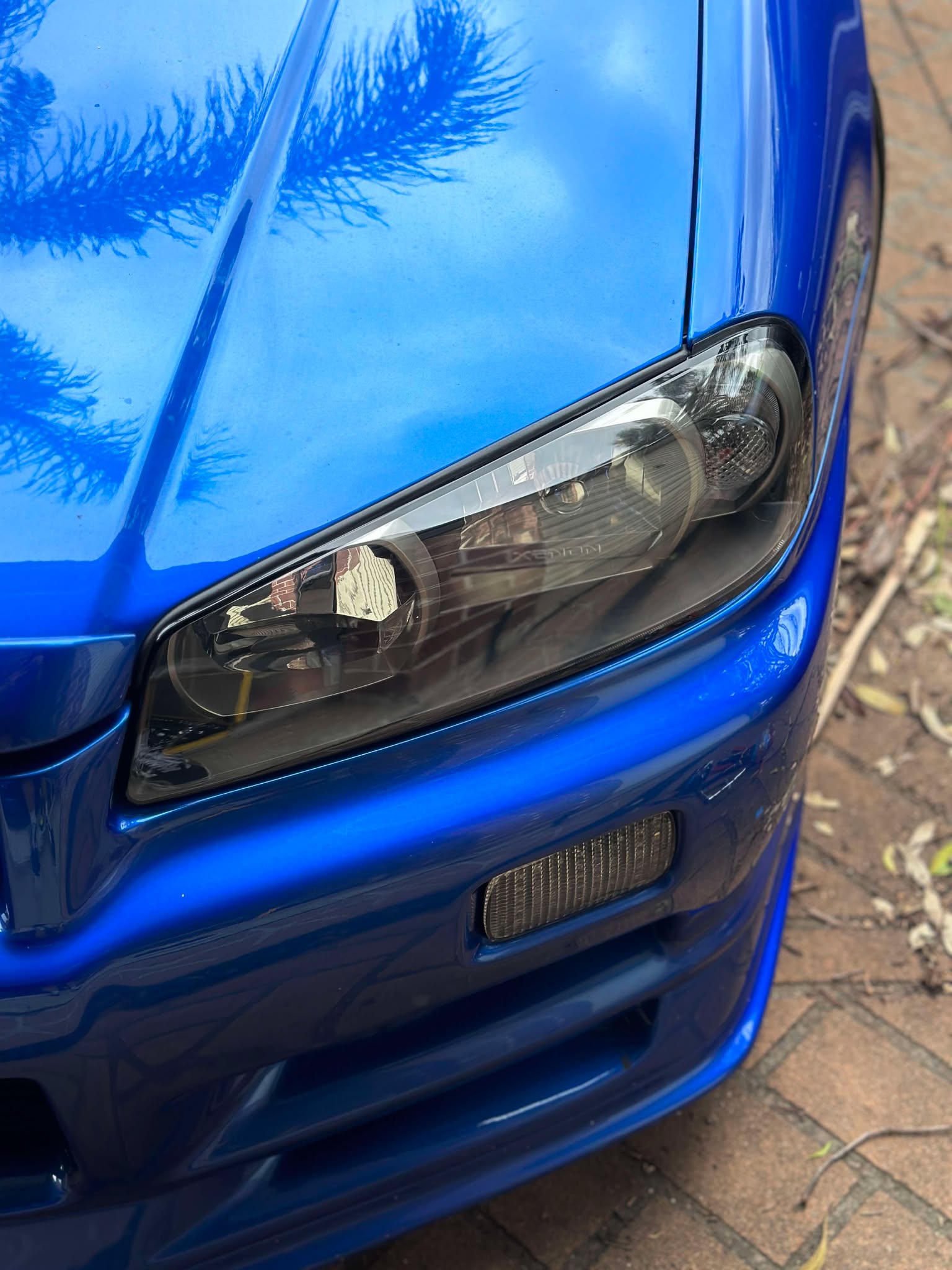 Customer photo from Adrian K's review